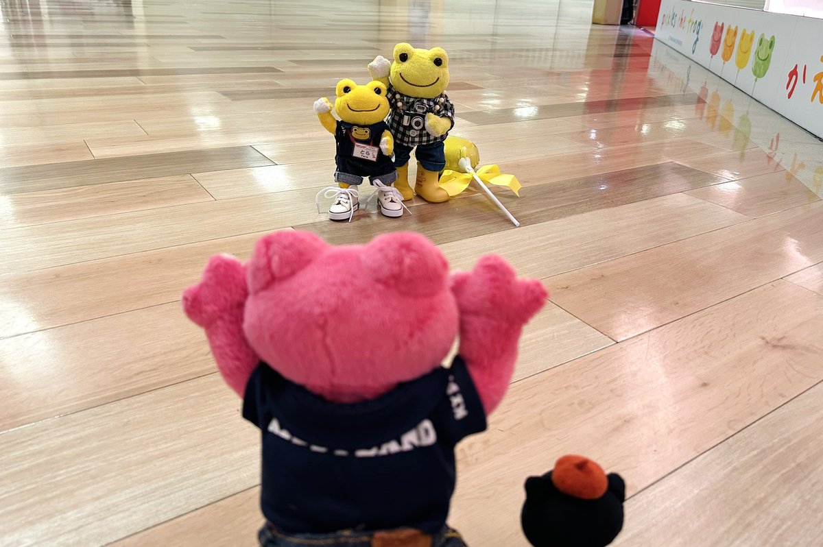 🍀キャラクターコーナー🍀 とらちゃんは5/30（金）に東京ソラマチで