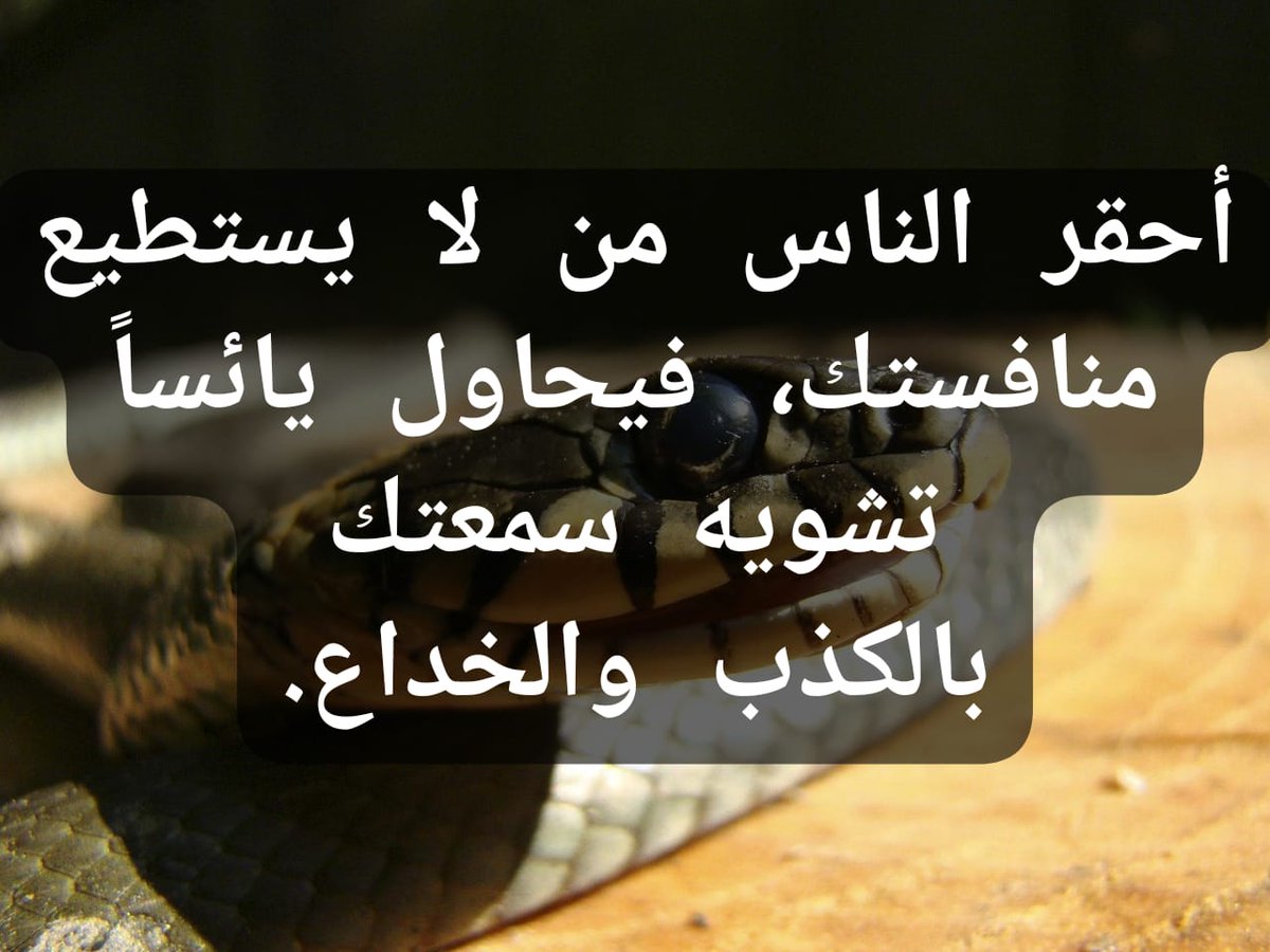 AbouZeidAmal's tweet photo. أحقر الناس من لا يستطيع منافستك، فيحاول يائساً تشويه سمعتك
بالكذب والخداع. https://t.co/XIDWhglpVy