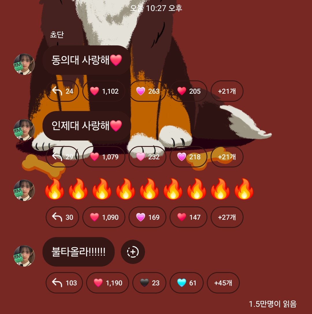 @Weekly_QWER: May,27,2025 Chodan instagram broadcast channel I love Dong eui University❤️ I love Inje University❤️ 🔥🔥🔥🔥🔥🔥🔥🔥🔥 On fire!!!!!! #QWER #CHODAN #쵸단 #큐떱 #ㅋㄸ