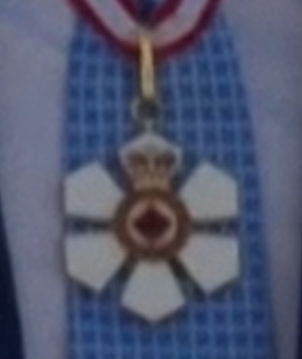 BenWaine4's tweet image. We can see six pentagonal petals. Different to the Tudor rose's five times two petals with five leaves. Six fives are thirty. We then have circles at the centre and a rotated square; but implicit is a hexagon to match the pentagons? #polygons #shapes #mathschat #interlocking