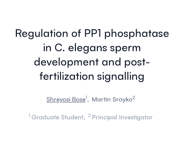 Srayko Lab tweet media