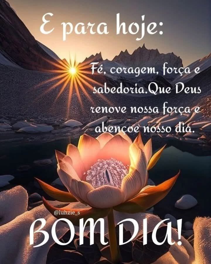 Bom dia a todos!🙌🥰