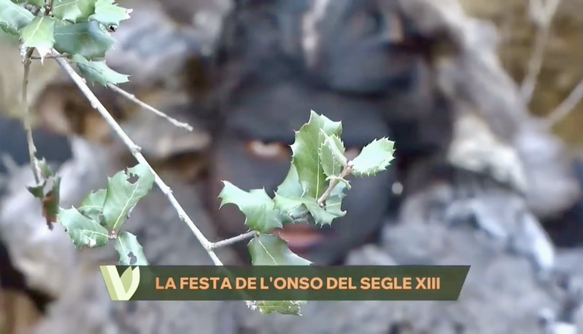 Un càmera de Comunicacions dels Ports ha seguit de prop a l’Onso de la Mata per a fer aquest reportatge per a La Via Verda d’À Punt
🎥
#laMata #ElsPorts #Castelló #ComunitatValenciana 
▸ apuntmedia.es/programes/la-v…