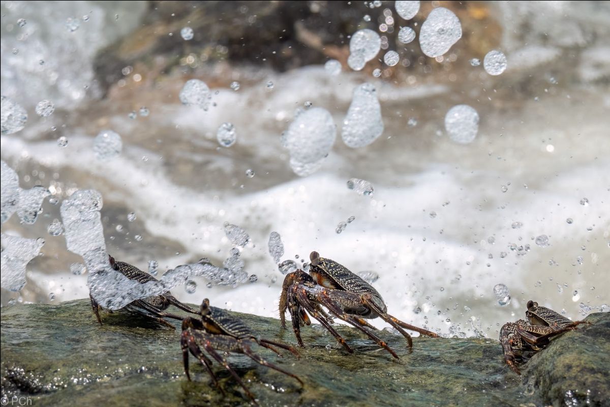 Angelfish Travel tweet media