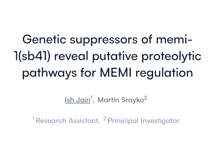 Srayko Lab tweet media