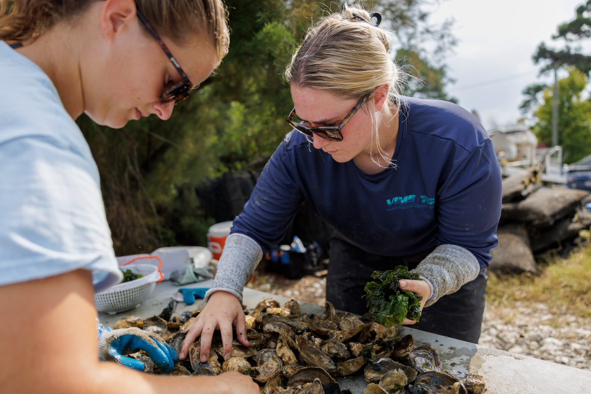 NOAA Sea Grant (@seagrant) on Twitter photo The <a href="/SGLawCenter/">Sea Grant Law Center</a> recently shared its latest Aquaculture Highlights with insights into navigating #aquaculture regulations and supporting sustainable #seafood.🐟
Read the report here: nsglc.olemiss.edu/projects/aquac… The <a href="/SGLawCenter/">Sea Grant Law Center</a> recently shared its latest Aquaculture Highlights with insights into navigating #aquaculture regulations and supporting sustainable #seafood.🐟
Read the report here: nsglc.olemiss.edu/projects/aquac…