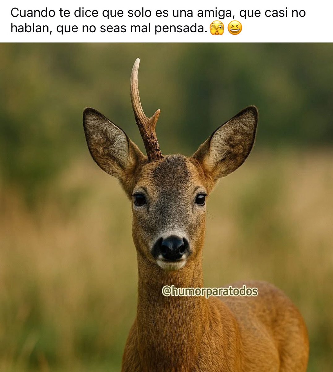 GabbsEvns's tweet photo. 😏😂😂😂 https://t.co/ddqLc3Pp34