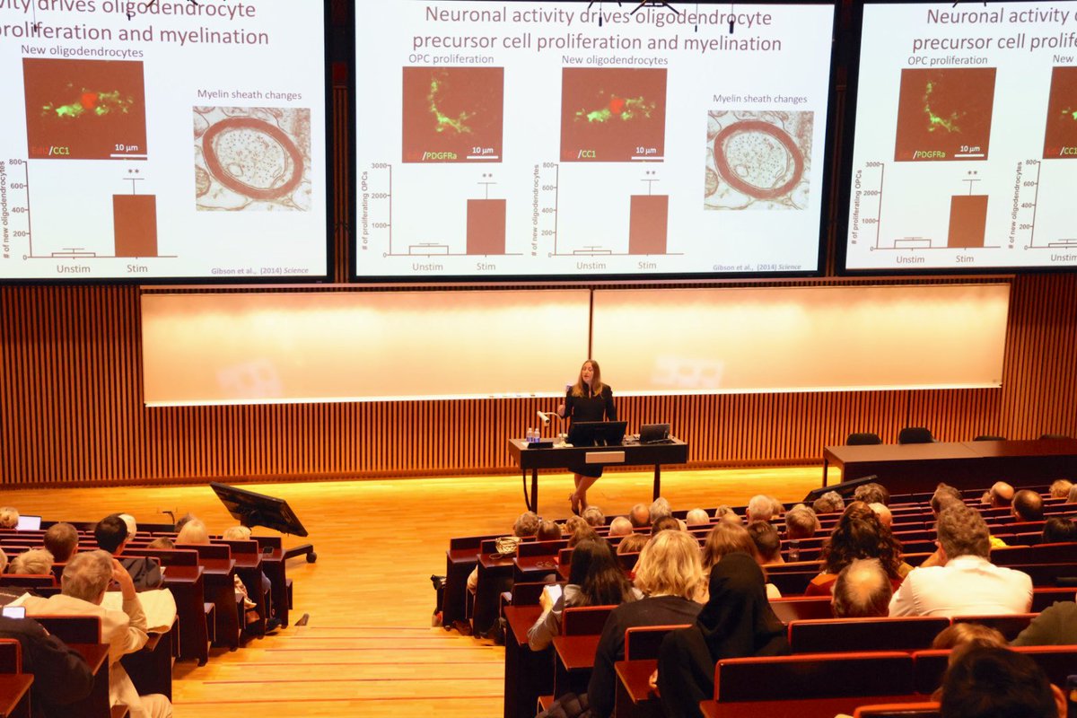 The Brain Prize (@brainprize) on Twitter photo Brain Prize winner <a href="/michelle_monje/">Michelle Monje🎗️ 🟦</a> , Professor of Pediatric Neuro-Oncology at Stanford University, is giving her Brain Prize Lecture “The Neuroscience of Brain Cancer” at the University of Copenhagen.
She is a leading voice in bridging neuroscience and oncology. #BrainCancer Brain Prize winner <a href="/michelle_monje/">Michelle Monje🎗️ 🟦</a> , Professor of Pediatric Neuro-Oncology at Stanford University, is giving her Brain Prize Lecture “The Neuroscience of Brain Cancer” at the University of Copenhagen.
She is a leading voice in bridging neuroscience and oncology. #BrainCancer
