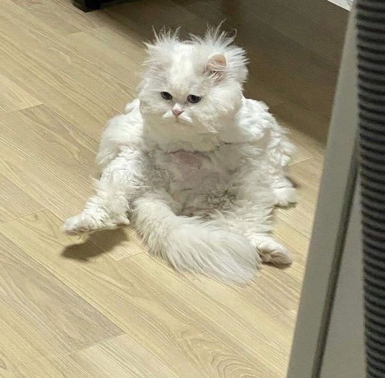 Just woke up