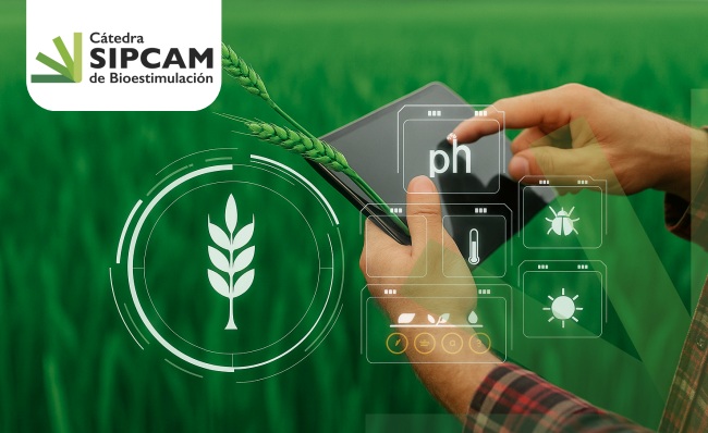 Life Innocereal EU (@life_innocereal) on Twitter photo 🔬 Desde #LIFEInnocerealEU te invitamos a una jornada única para explorar el futuro de la nutrición vegetal sostenible y la biofertilización
🗓 3 de junio – 10:30 h
📍Universidad de Córdoba
👉 ¡Inscríbete aquí!
docs.google.com/forms/d/e/1FAI…
<a href="/LIFEprogramme/">LIFE Programme</a> #LIFEproject 🔬 Desde #LIFEInnocerealEU te invitamos a una jornada única para explorar el futuro de la nutrición vegetal sostenible y la biofertilización
🗓 3 de junio – 10:30 h
📍Universidad de Córdoba
👉 ¡Inscríbete aquí!
docs.google.com/forms/d/e/1FAI…
<a href="/LIFEprogramme/">LIFE Programme</a> #LIFEproject