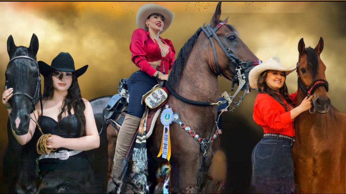 En Sotaquirá se llevará a cabo la IX Cabalgata Femenina ‘Elegancia y pasión’, este sábado 31 de mayo #Tolditos7días ift.tt/GOVBUg8