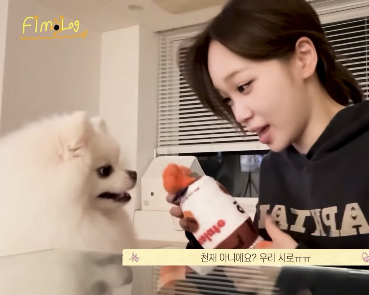 SEIchaewon's tweet photo. ねぇ可愛すぎだって！！
チェウォンちゃんとシロ🫶🫶 https://t.co/2o3Y8AcLS9