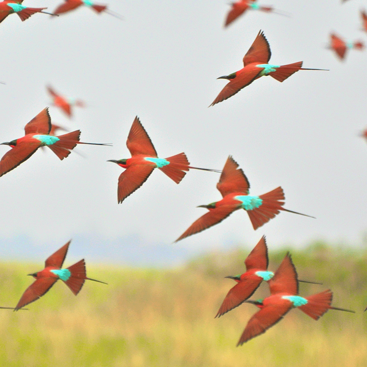 Warum Volatilität oft zu hohen Schwellenländer-Aktienerträgen führt. #ABInsights
allncbrnstn.co/4mz6WCB