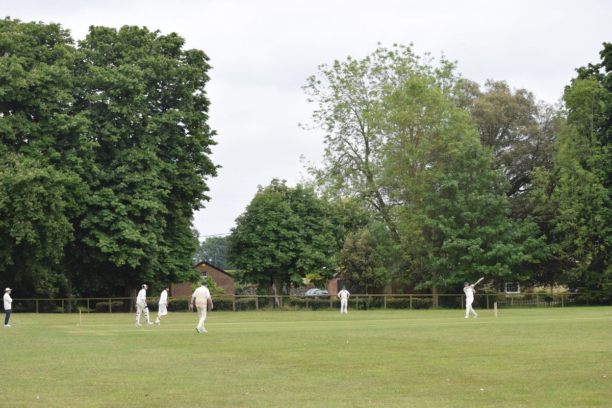 The Bushmen tweet media