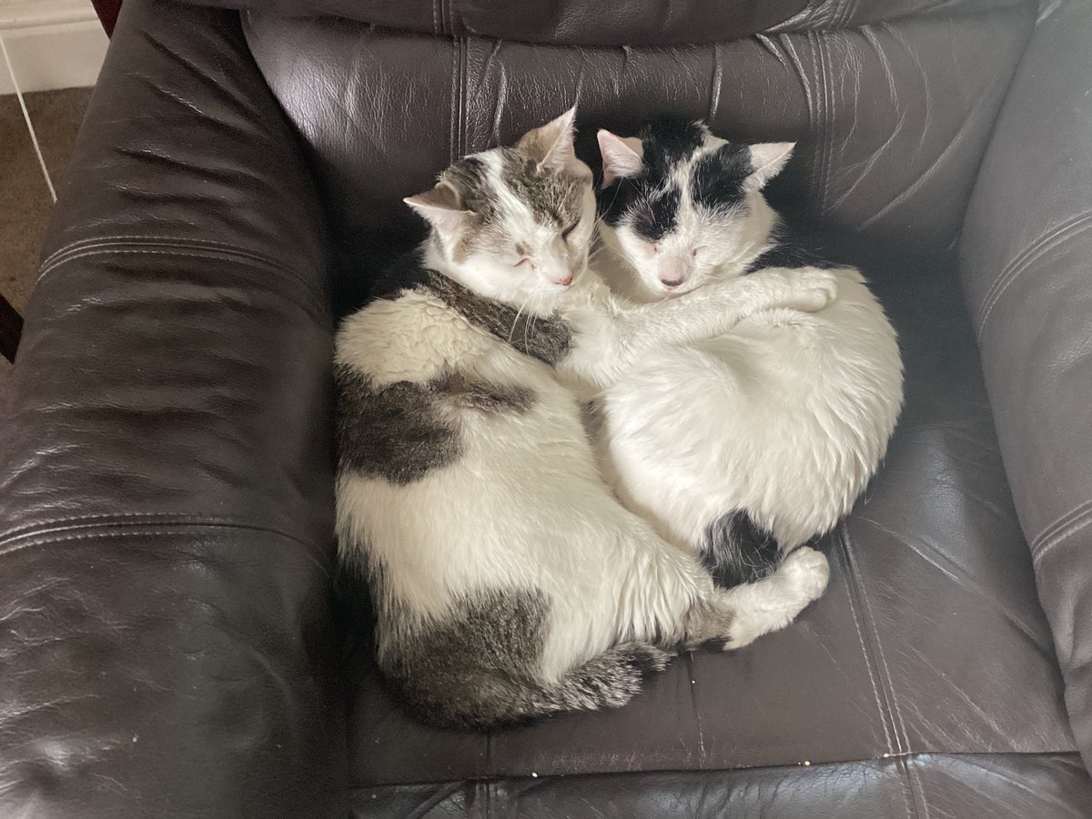 MothTrapper48's tweet image. Sisters.