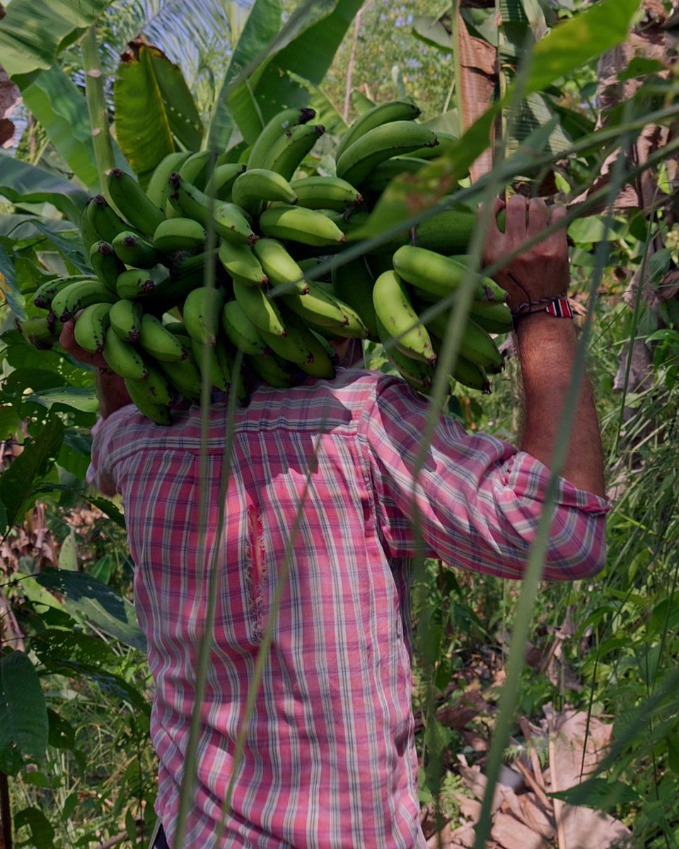 Stewardship — the act of caring for something — is the ultimate way to relate to our environment.

When we care for our neighbors, our organizations, or the park near our home, we begin to develop a sense of interest, responsibility, participation, and love for something beyond