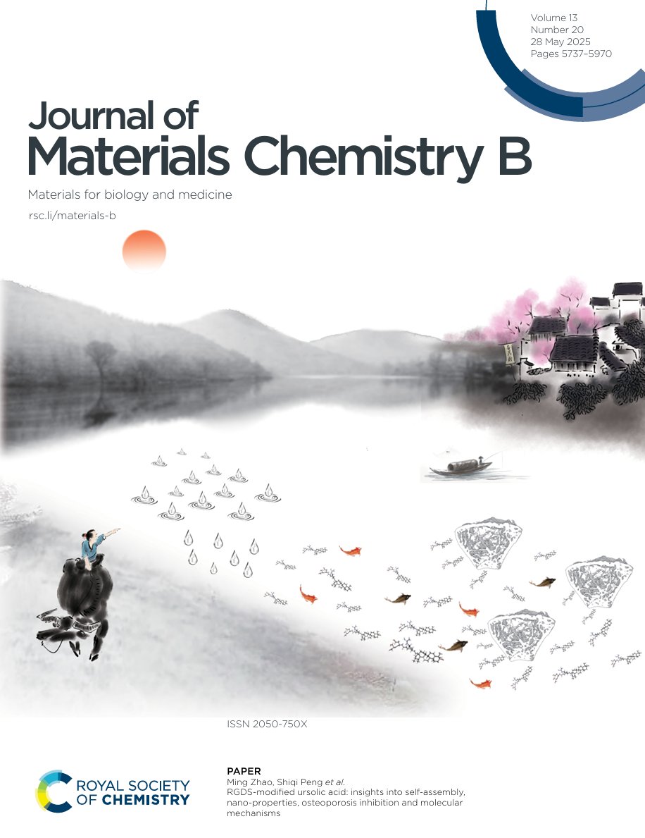 J. Mater. Chem. family (@jmaterchem) on Twitter photo Check out the front cover of <a href="/JMaterChem/">J. Mater. Chem. family</a> B Issue 20!
'RGDS-modified ursolic acid: insights into self-assembly, nano-properties, osteoporosis inhibition and molecular mechanisms' by Ming Zhao, Shiqi Peng et al.
Read their article here: doi.org/10.1039/D4TB02… Check out the front cover of <a href="/JMaterChem/">J. Mater. Chem. family</a> B Issue 20!
'RGDS-modified ursolic acid: insights into self-assembly, nano-properties, osteoporosis inhibition and molecular mechanisms' by Ming Zhao, Shiqi Peng et al.
Read their article here: doi.org/10.1039/D4TB02…