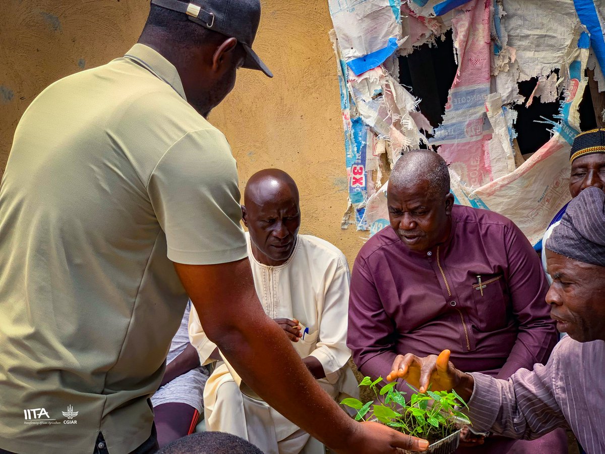 IITA Youth Agrip (@iitayouthagrip) on Twitter photo Yam #seedmultiplication is a smart entry point for farmers, especially women with limited land.
In Tudun Fulani, #YAS trained 25 #cooperatives on #miniseed tech to boost yield, protect the environment & #improvelivelihoods, thanks to support from the <a href="/NLinNigeria/">Netherlands 🇳🇱 in Nigeria 🇳🇬</a>.
#FoodSecurity Yam #seedmultiplication is a smart entry point for farmers, especially women with limited land.
In Tudun Fulani, #YAS trained 25 #cooperatives on #miniseed tech to boost yield, protect the environment & #improvelivelihoods, thanks to support from the <a href="/NLinNigeria/">Netherlands 🇳🇱 in Nigeria 🇳🇬</a>.
#FoodSecurity