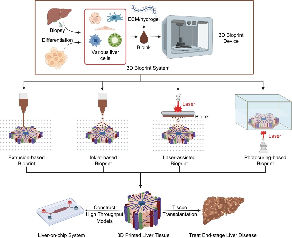 Review
Cell therapies and liver organogenesis technologies: Promising strategies for end-stage liver disease

Qin et al.
#LiverX
tinyurl.com/2shmrtum