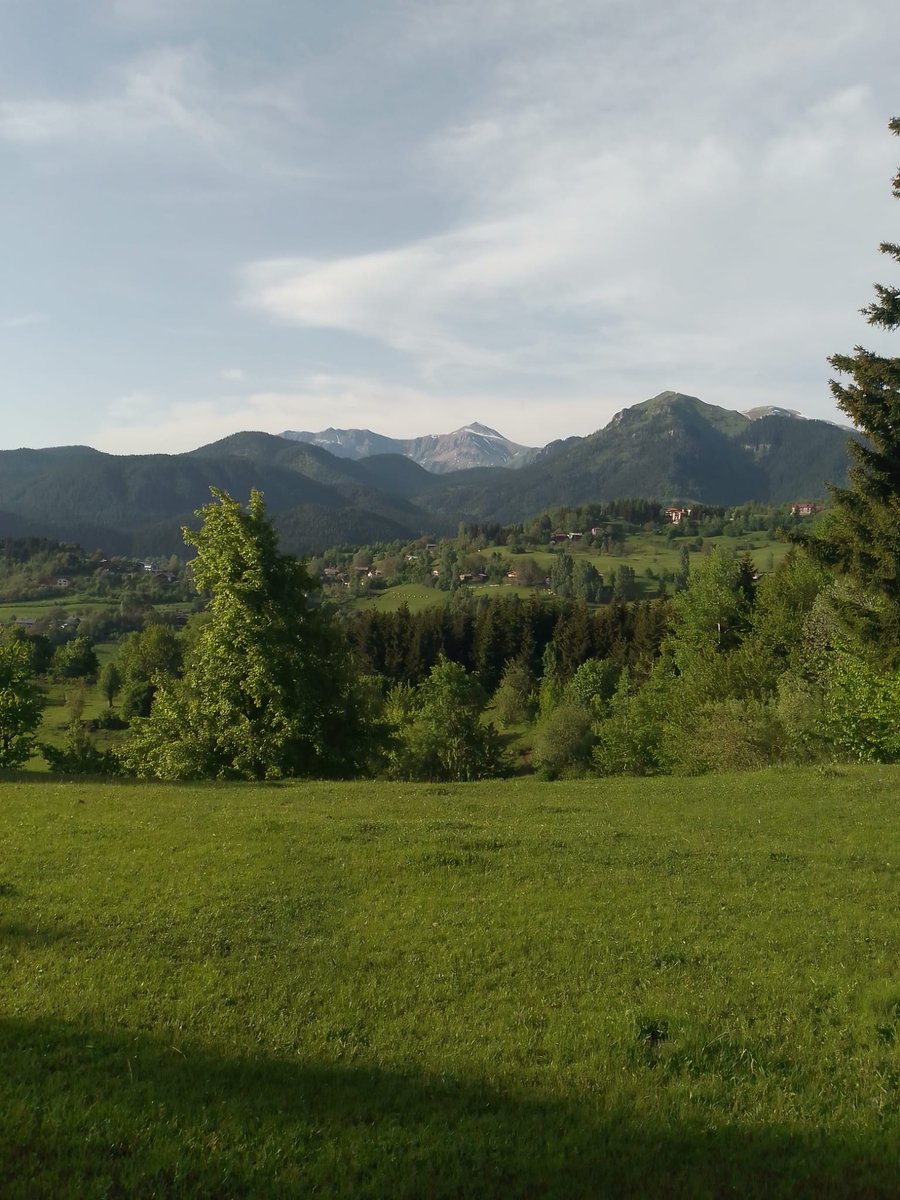 Merhaba Artvin Yusufelin'den arkadaşların gönderdiği bir görsel ile tüm dostlara iyi akşamlar güzel yarınlar dileğiyle. 🌻🌾🌳☀️