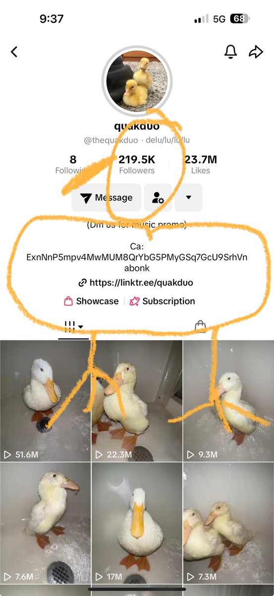 robc5218's tweet photo. @TeTheGamer Try ducks, $Quaks is gonna be the first viral duck memecoin study $Quaks
Ca
ExnNnP5mpv4MwMUM8QrYbG5PMyGSq7GcU9SrhVnabonk https://t.co/IudKwVl6O3