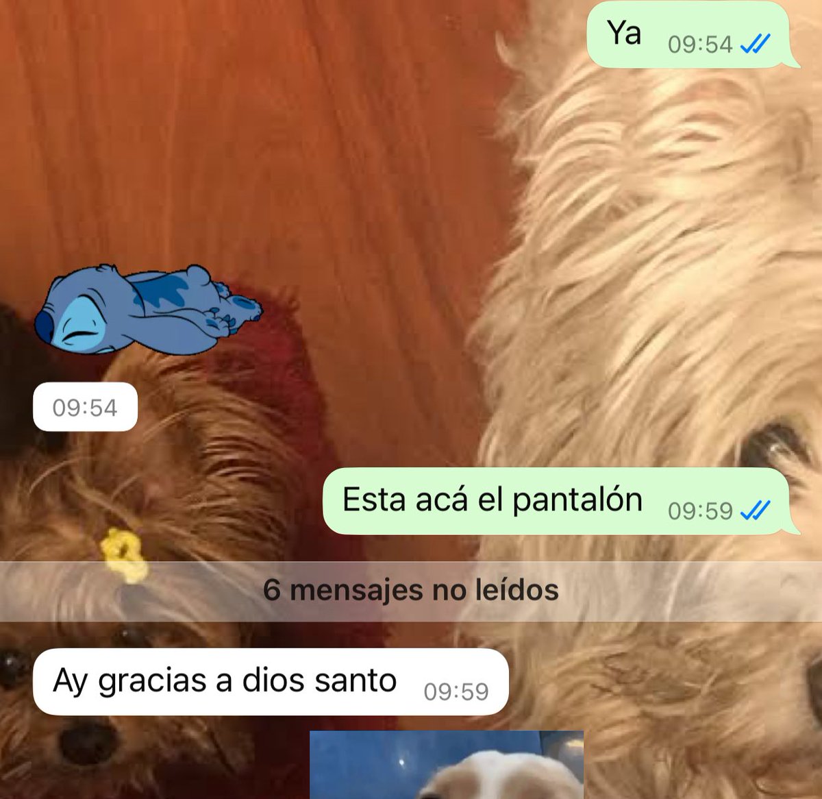 Por todo siempre digo “Gracias a Dios”
Y mi hijo, me pregunta por una ropa que no encuentra en la casa del papá, tiene 23 años jajajajajaj
