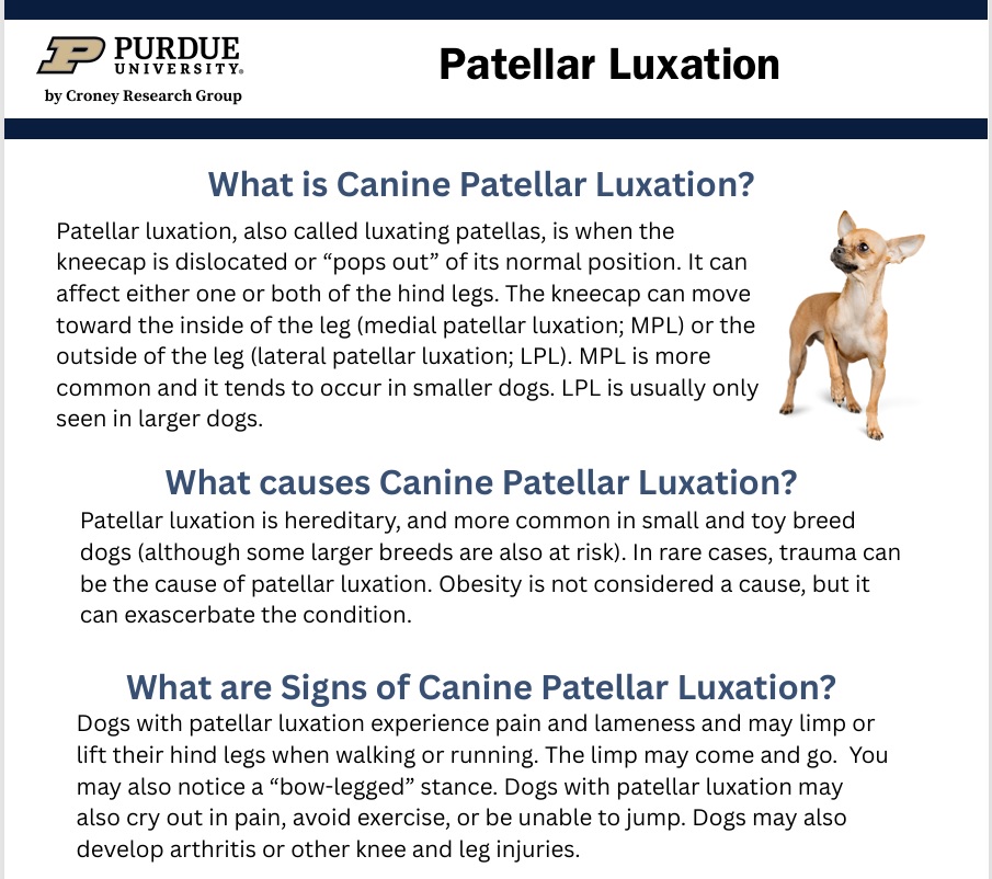 Croney Research Group tweet media