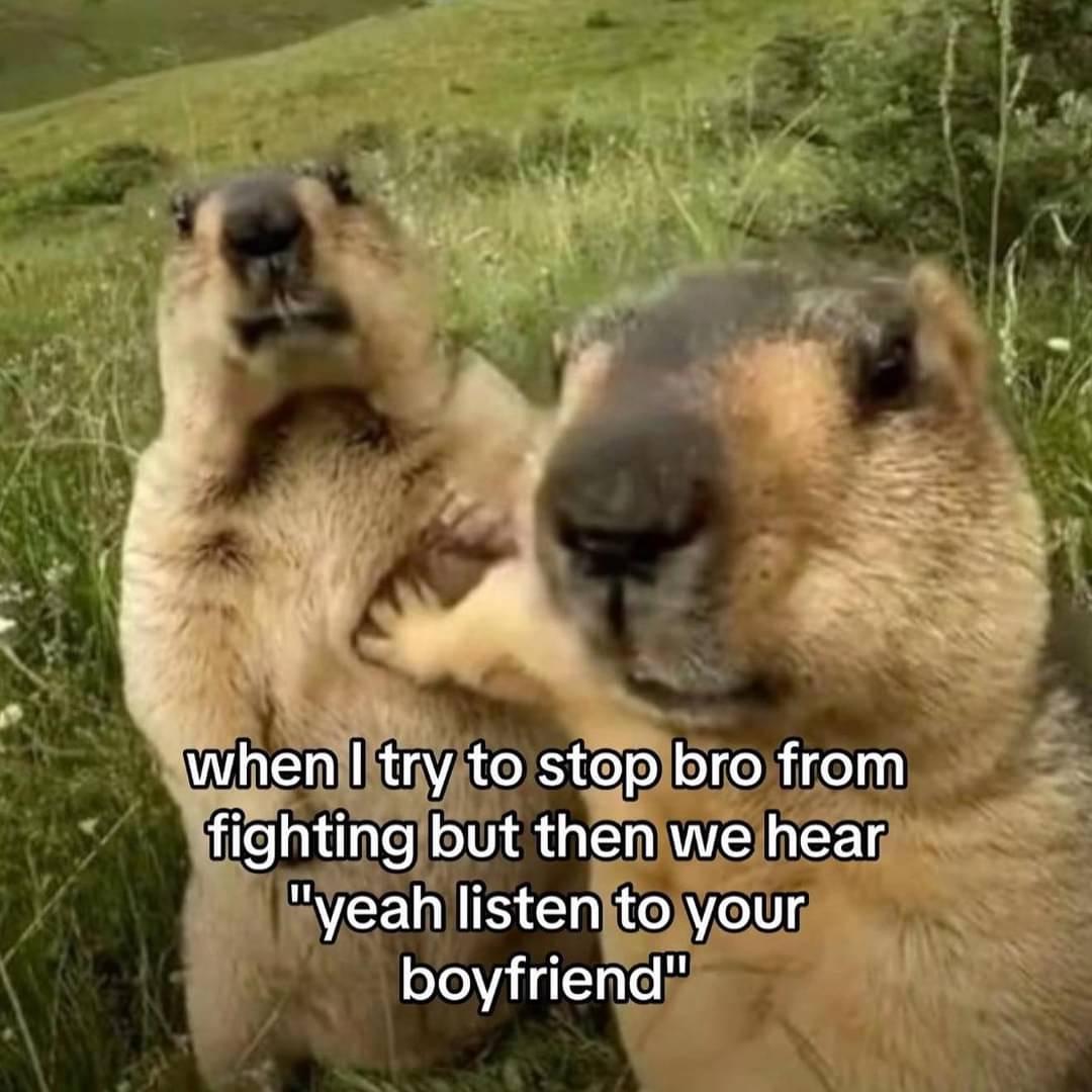 Images That Make You Feel Pain (@manmilk2) on Twitter photo 