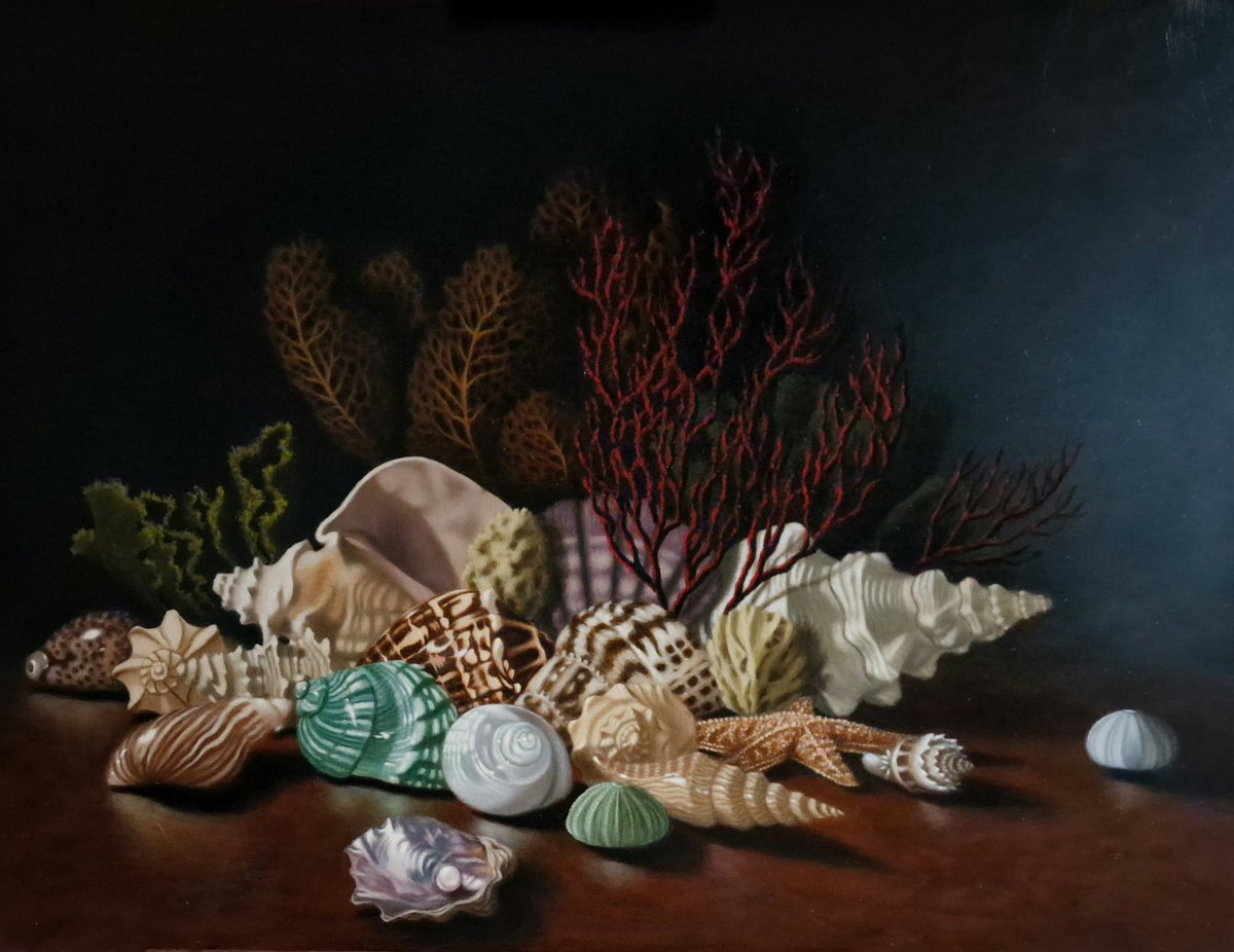 NorskViking1's tweet photo. Key West seashells. Oils on 60x80cm canvas. My first painting from a proper still life set-up, plus some imaginary items thrown in. #tuesdayvibe #shells #oilpainting #fromlife #keywest #Florida #inspiration https://t.co/gOfKiSi6UW