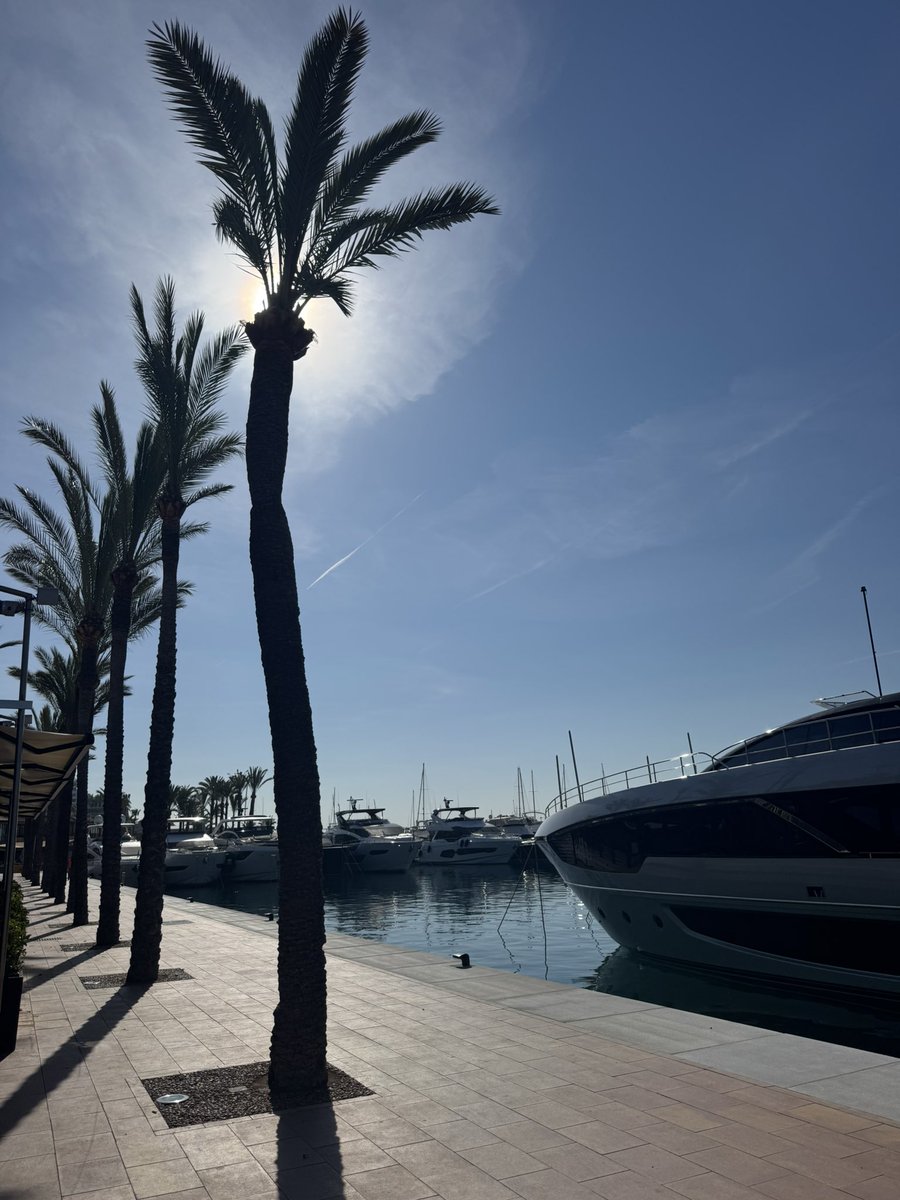 Tim Hyde tweet media