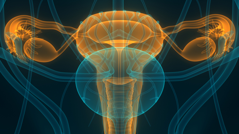 Carilion Clinic Research (@carilionrandd) on Twitter photo Check out <a href="/CarilionClinic/">Carilion Clinic</a>’s trial testing if adding ipatasertib to hormone therapy improves treatment for advanced or recurring endometrial cancer. #CancerResearch #ClinicalTrials #EndometrialCancer shorturl.at/ZhQef Check out <a href="/CarilionClinic/">Carilion Clinic</a>’s trial testing if adding ipatasertib to hormone therapy improves treatment for advanced or recurring endometrial cancer. #CancerResearch #ClinicalTrials #EndometrialCancer shorturl.at/ZhQef