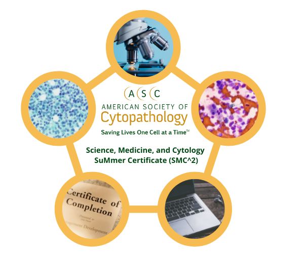Join us for this virtual program which allows high school students the opportunity to gain an in-depth perspective to science and medicine with a focus on pathology and cytology. buff.ly/IUOTVJk 
#cytology #cytologist #cytopathology