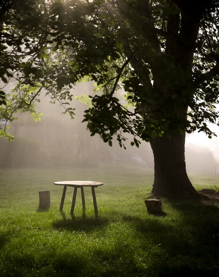 Чекај ме ја ћу сигурно доћи...