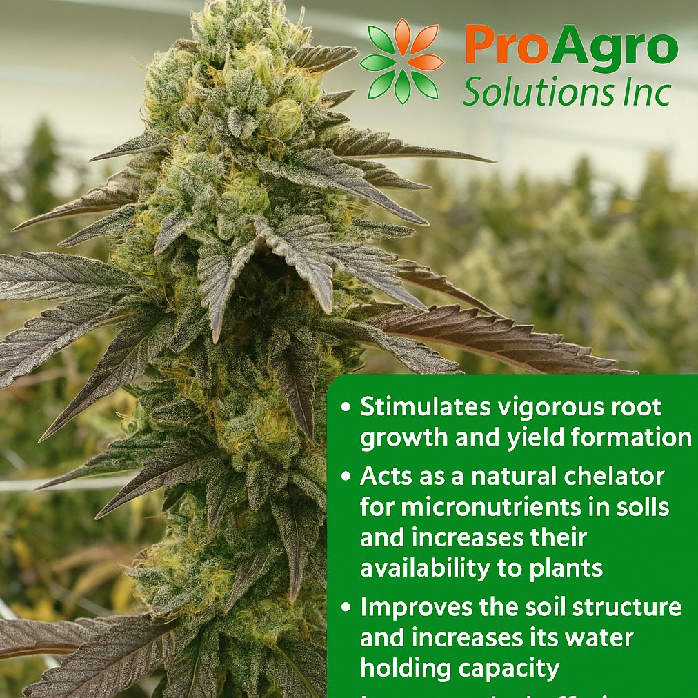 Proagrosolinc's tweet photo. * Acts as a natural chelator for micronutrients in soils and increases their availability to plants.
* Improves the soil structure and increases its water holding capacity.
* Increases the buffering and cation exchange capacity of soils.
* It doesn't contain heavy metals. https://t.co/mEOtXjupOR