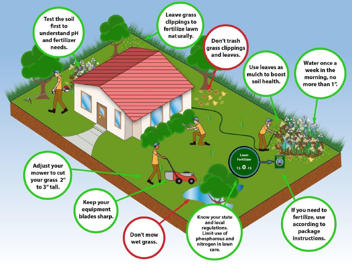 Did you know excess fertilizer and grass clippings are washed into storm drains and directly into our
waterways. Please use caution when caring for your lawn and help keep Ayer’s streams and ponds
healthy.

ayer.ma.us/home/news/prop…