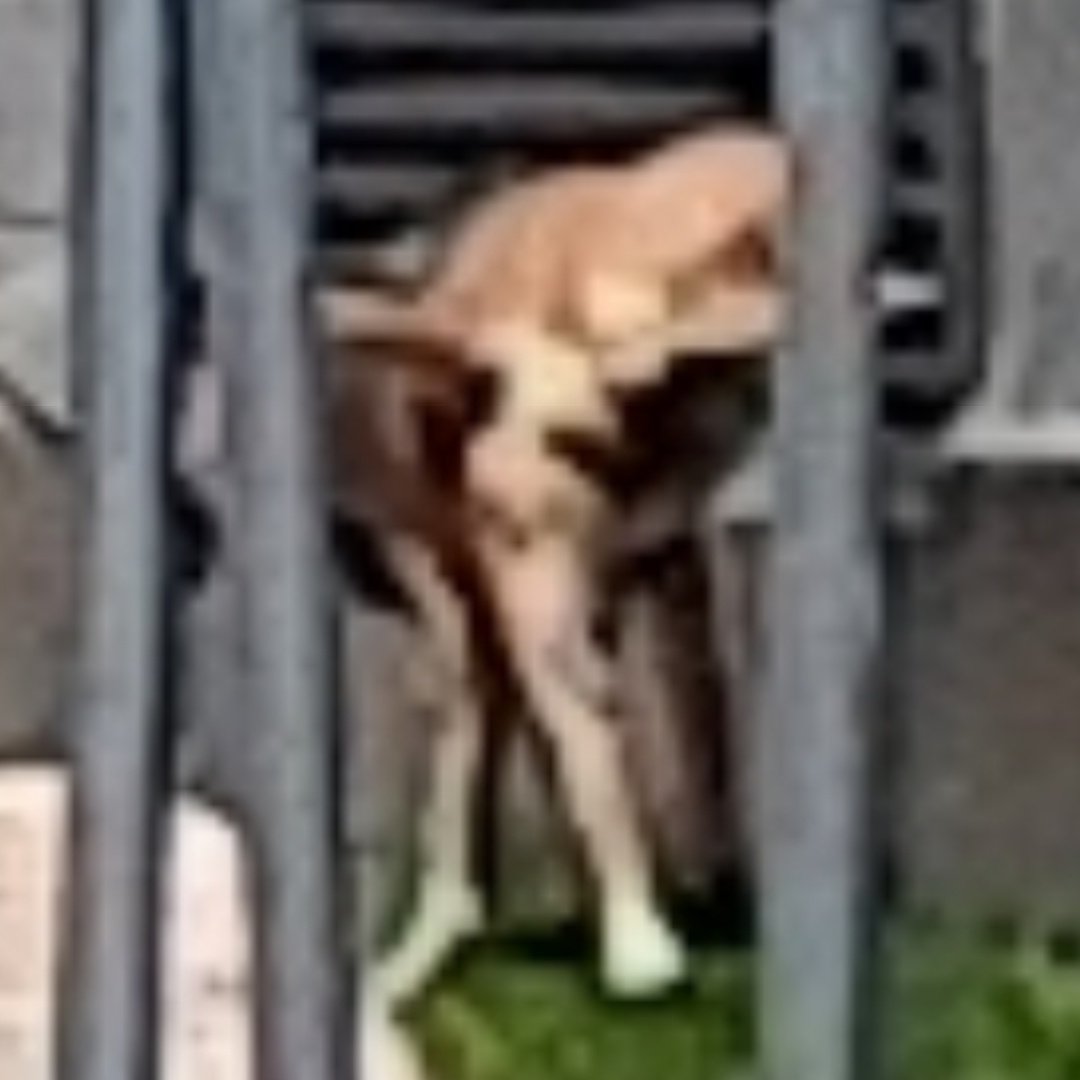 hug0nES's tweet image. Lo de éste barrio es digno de estudio.

Ni en TU PROPIA CASA respetas nada, como para hacerlo fuera... 🤦🏻‍♂️

#ElCañaveral