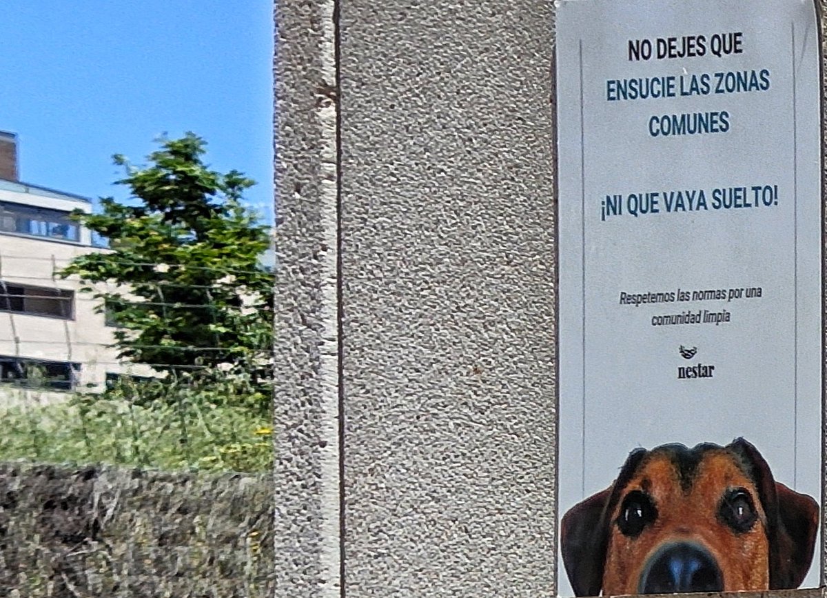 hug0nES's tweet image. Lo de éste barrio es digno de estudio.

Ni en TU PROPIA CASA respetas nada, como para hacerlo fuera... 🤦🏻‍♂️

#ElCañaveral