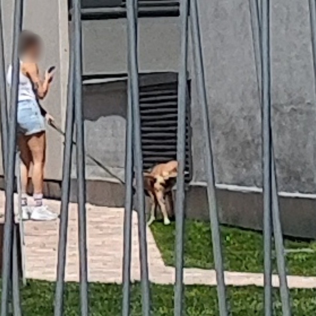 hug0nES's tweet image. Lo de éste barrio es digno de estudio.

Ni en TU PROPIA CASA respetas nada, como para hacerlo fuera... 🤦🏻‍♂️

#ElCañaveral