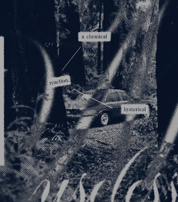 nocturneoath's tweet image. 