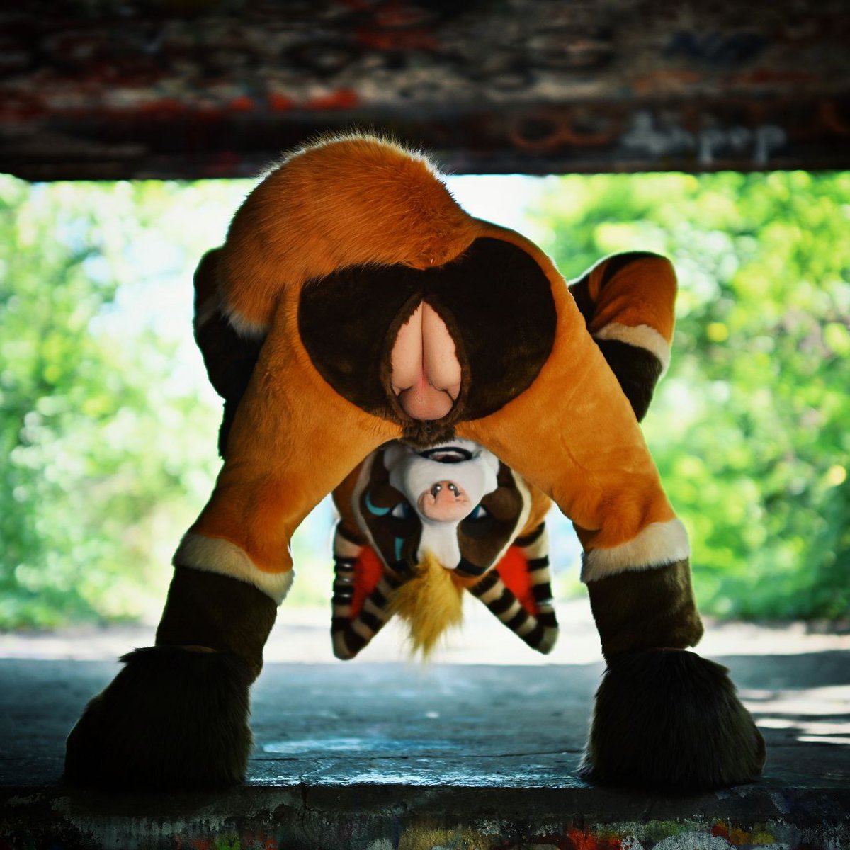 What you staring at back there?