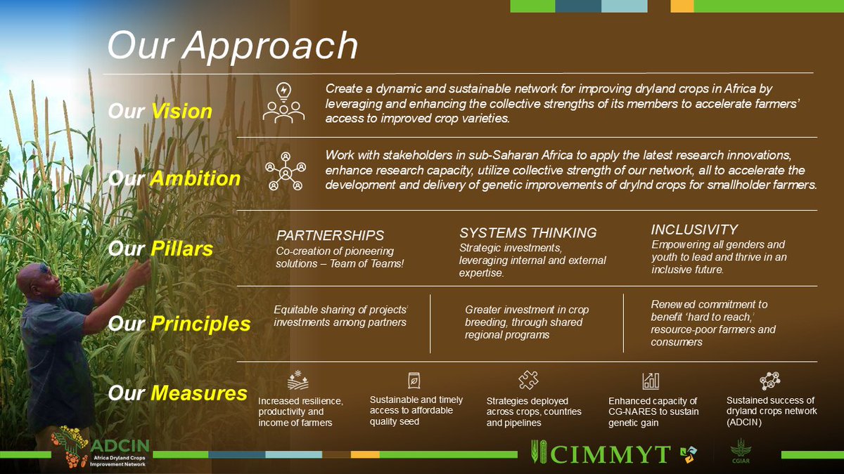 Africa Dryland Crops Improvement Network tweet media