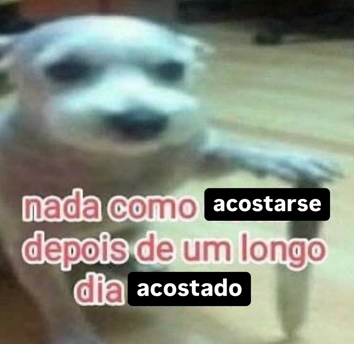 yo qué sé tweet media