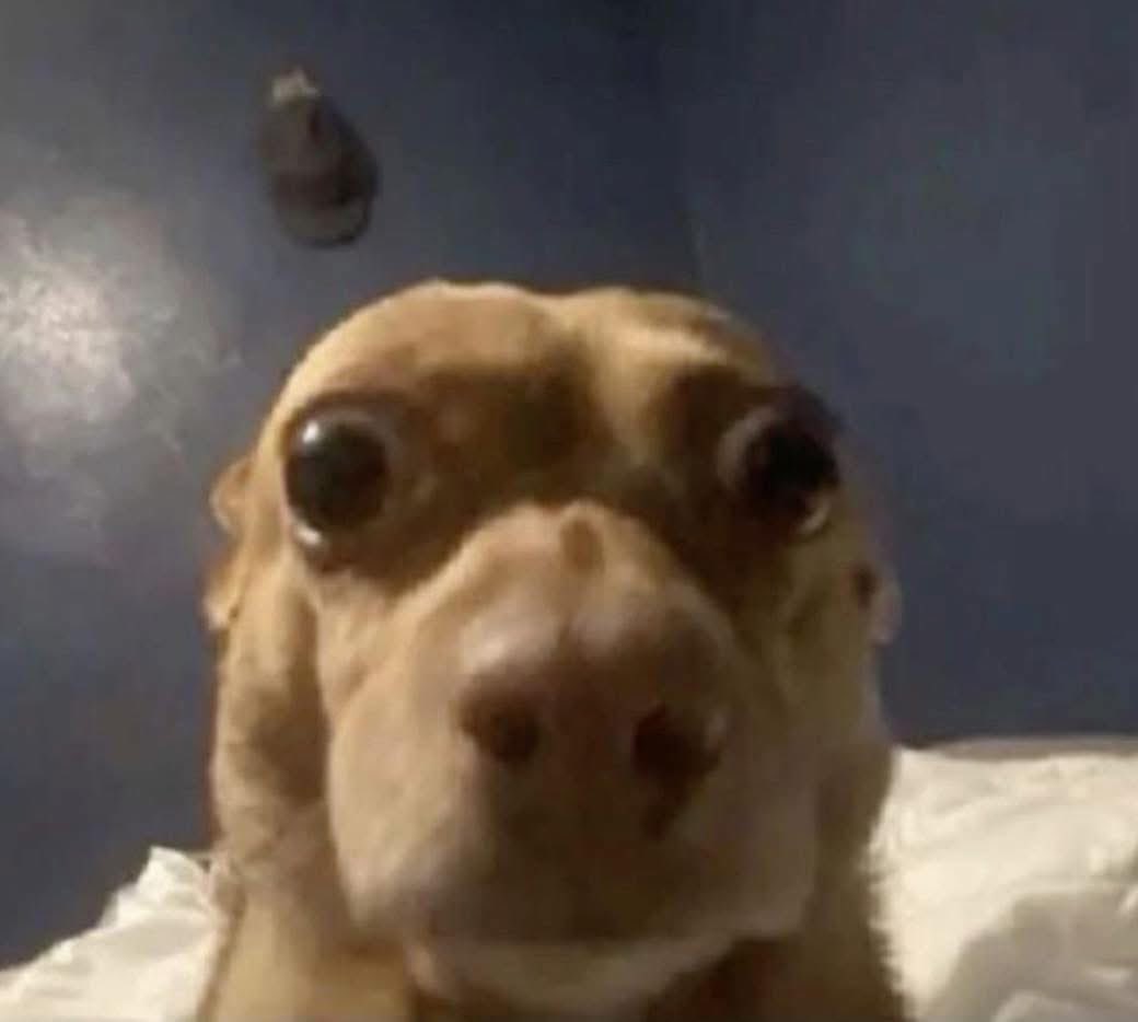 yo viendo como se cobra la suscripción que no cancelé