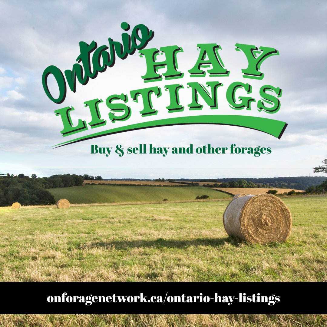 ON Forage Council tweet media