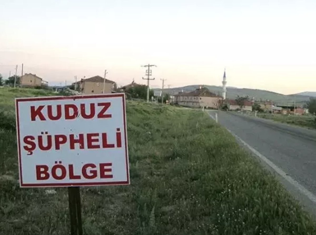 Hatay'ın Samandağ ilçesinde bir köpekte kuduz vakasının tespit edilmesi üzerine 4 mahallede karantina uygulaması başlatıldı.

Rezil ettiniz ülkeyi.
Ahlaksızlar.
Allah’tan korkmaz, milletten utanmazlar!

#köpekterörü
