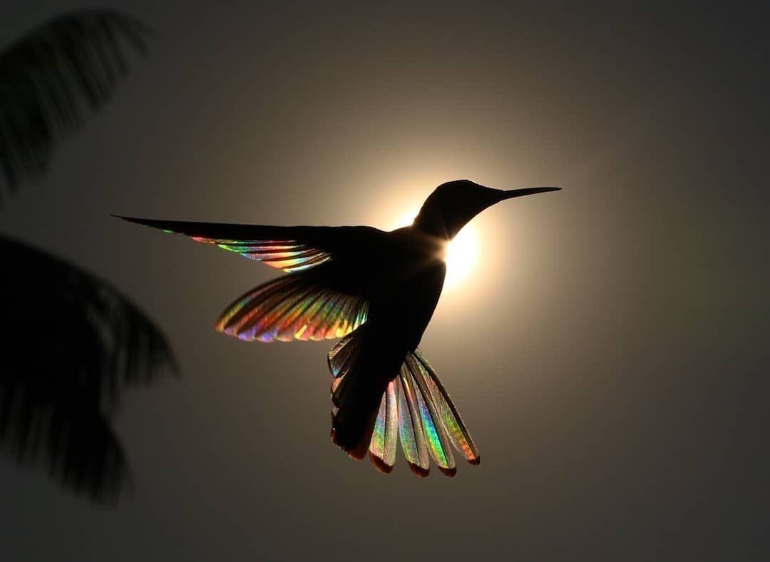Faith is the bird that feels the light and sings when the dawn is still dark. 

Rabindranath Tagore