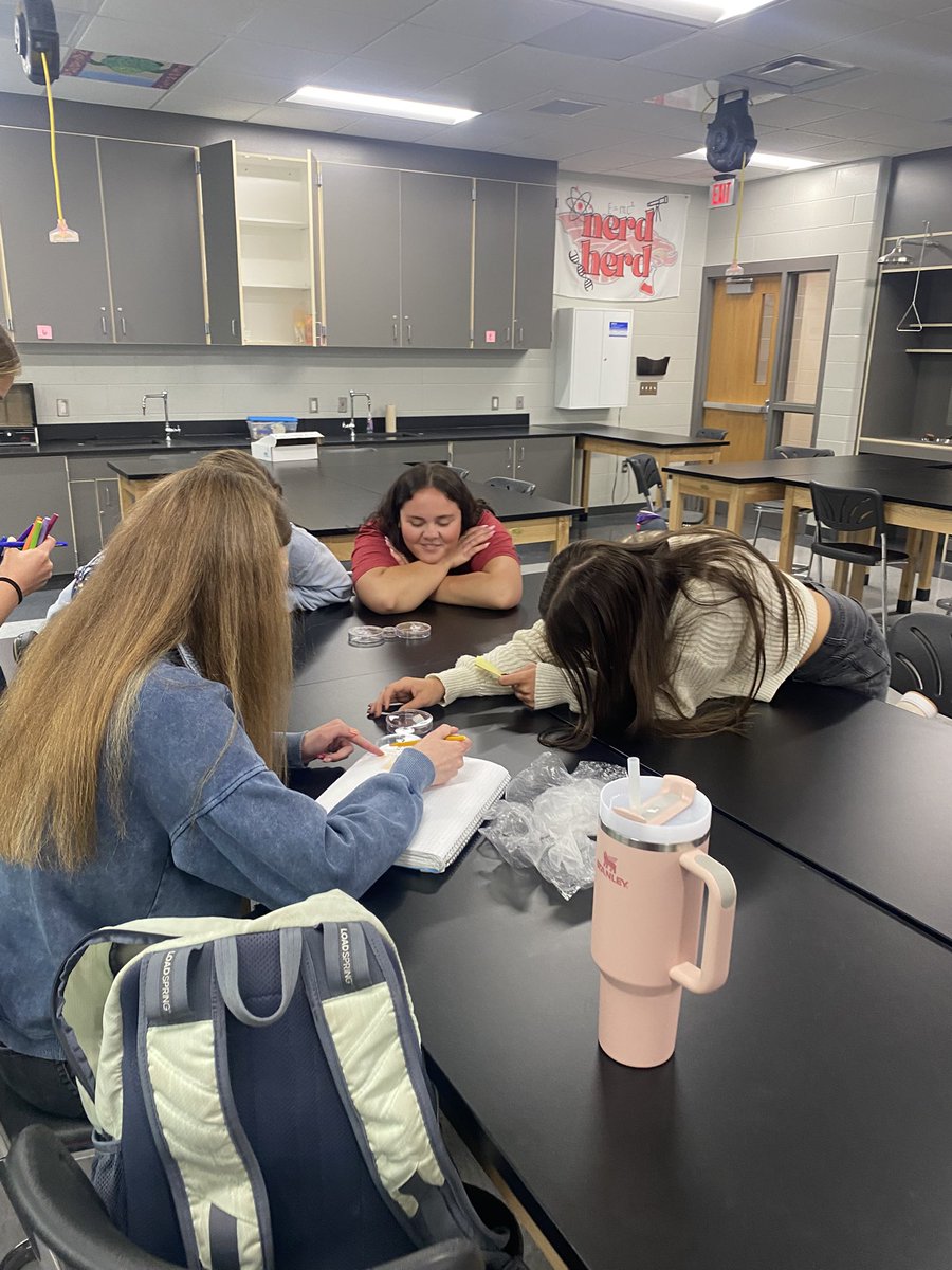 Carinne Collier tweet media