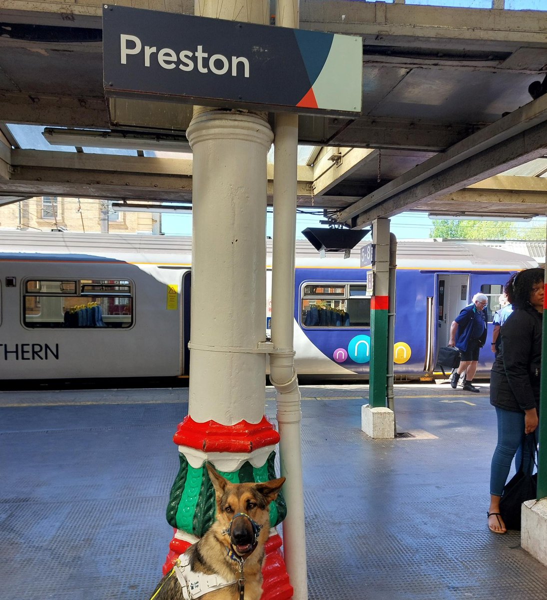 Guide Dogs North West (@guidedogsnw) on Twitter photo When Preston went to... Preston!
Preston is now in the advanced part of his training and is doing really well. He's been trying out trains and train stations as part of his training, and stopped to get a quick pic ๐ท
#Preston #PrestonTrainStation <a href="/blogpreston/">Blog Preston</a> When Preston went to... Preston!
Preston is now in the advanced part of his training and is doing really well. He's been trying out trains and train stations as part of his training, and stopped to get a quick pic ๐ท
#Preston #PrestonTrainStation <a href="/blogpreston/">Blog Preston</a>