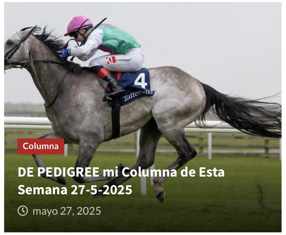 DE PEDIGREE mi Columna de Esta Semana 27-5-2025, ya pueden leerla en dangelospicks.com