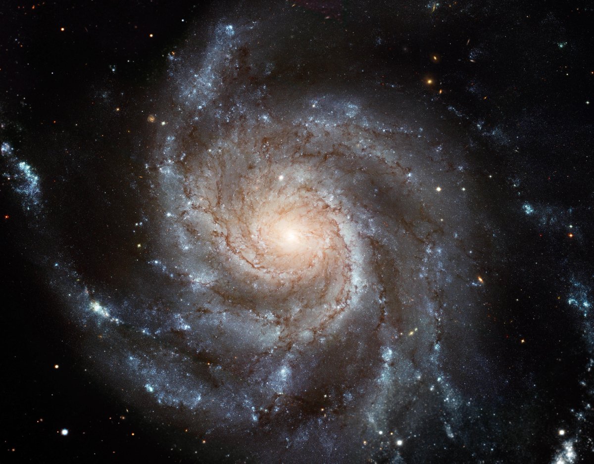 Ready for some summer stargazing?

Check out June's cosmic targets for Hubble's Night Sky Challenge: go.nasa.gov/3FqJE1b

No telescope? You can look for a local star party or club here: go.nasa.gov/4kdDVuJ